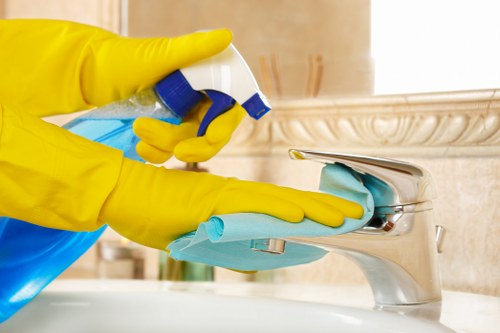 Professional pet stain odour removal in Old Ford on carpet