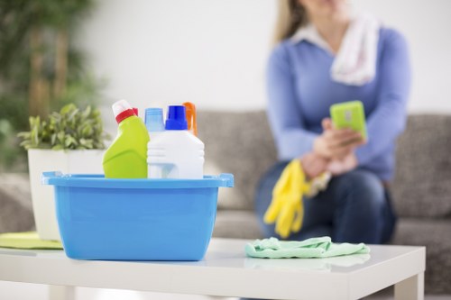 Professional Old Ford carpet cleaners treating high-traffic carpet areas