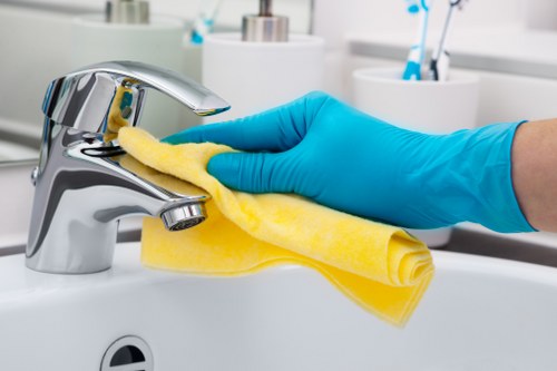 Professional carpet cleaning process in a domestic property