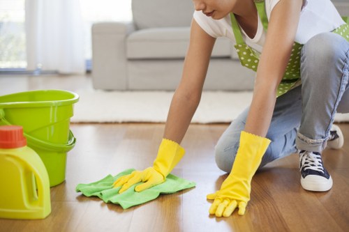 Cleaning pet odour from upholstery in Old Ford home
